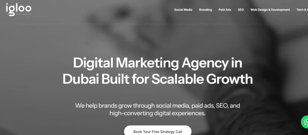 website overview of igloo